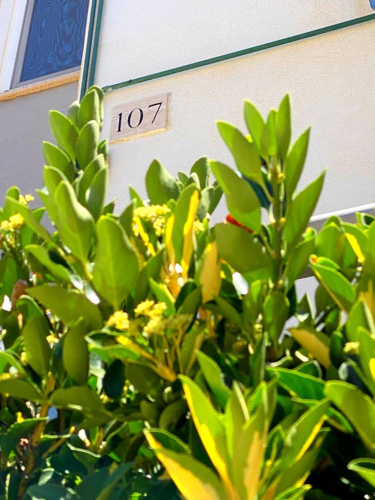 Apartment 107 - Roma Fiumicino Kültér fotó